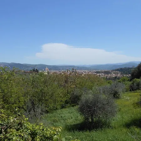 Relaxing Place In Oltrarno